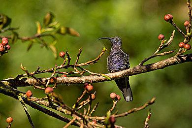 超拟真大世界航海经营冒险游戏《风帆纪元》免费试玩， 快来开启你的航行之旅吧！